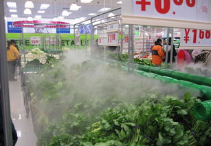 蔬菜保鲜加湿货架 怎么加湿空气